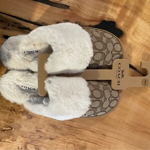 Coach Ziva Slippers